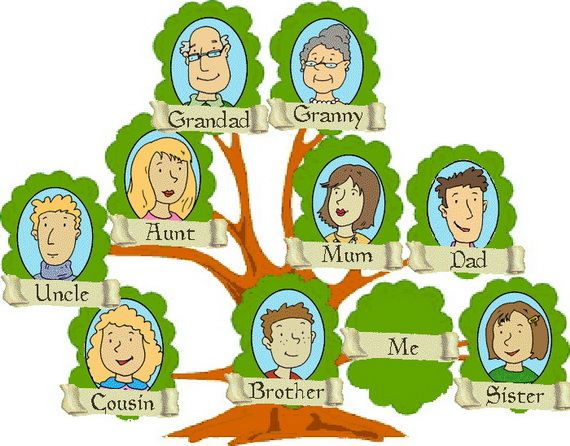 Family Tree Builder - Kostenloses Genealogie